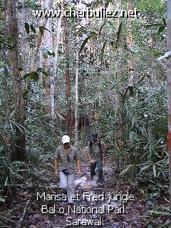légende: Marisa et Fred jungle Bako National Park Sarawak
qualityCode=raw
sizeCode=half

Données de l'image originale:
Taille originale: 183533 bytes
Temps d'exposition: 1/50 s
Diaph: f/180/100
Heure de prise de vue: 2002:09:12 17:35:37
Flash: non
Focale: 42/10 mm
